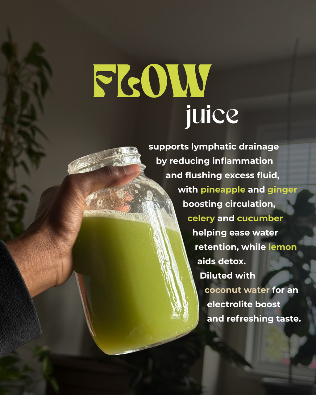 Flow Juice 4 Pack