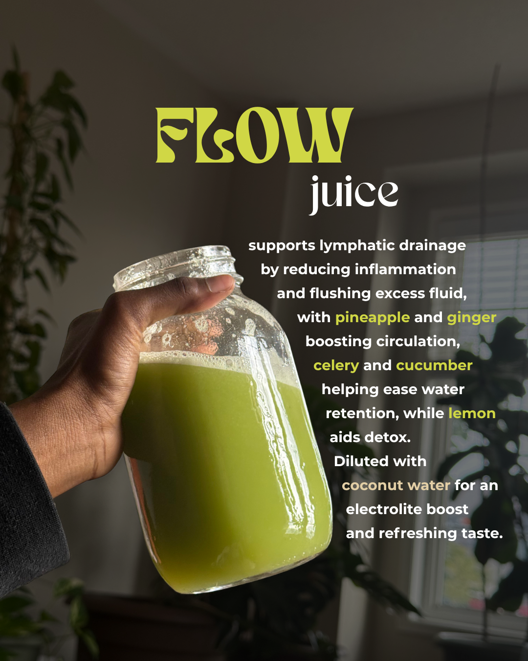 Flow Juice 4 Pack